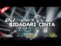 Download Lagu Yang di tunggu - tunggu DJ BIDADARI CINTA slow bass horeg mantulll poll