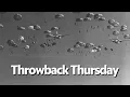 Throwback Thursday Historic photos capture Army life training through the years