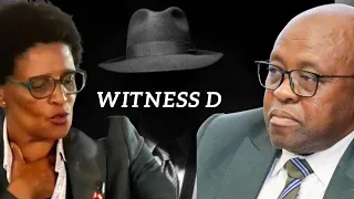 EXPLOSIVE Witness D Set South Africa On Fire 