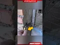Download Lagu این مرد بدون کلید در قفل شده رو باز میکنه! 😯🔥
