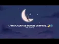 Download Lagu tujhe Chand ke bahane dekhoon song with full lyrics..🌛🌚