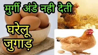 do not give chicken eggs