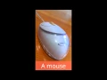 Download Lagu What we can do with HTC incredible s (screenshots objects profile)