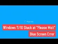 Windows stuck at Please Wait blue screen won t go into Login Screen
