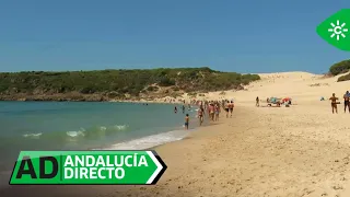 Andalucía directo | Vacaciones de postal en la idílica playa de Bolonia