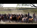 Gritos de Liberdade - Grupo Rodeio