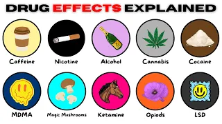 every drug u0026 its effect explained in 17 minutes