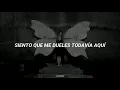 Shakira - No [Letra]