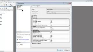 SQL Server Express 2008 R2 Tutorial 2 - Making A Database