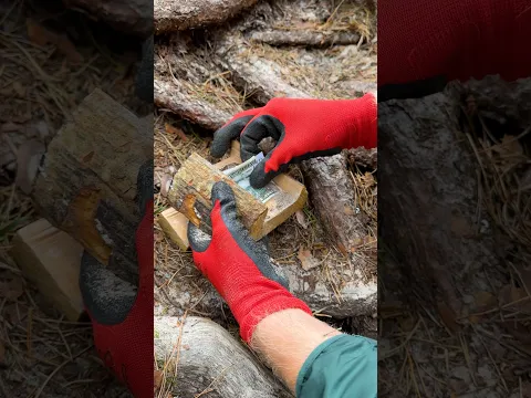 MOST CRAZY FINDS I’VE EVER FOUND 🤯