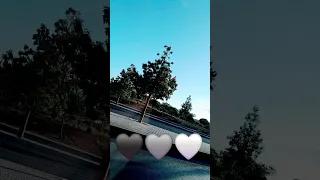 تجهلني انا اصلا قلبي وعقلي صار يمل الاردن فلسطين غزة السودان السعودية اغاني حب  تجهلني انا اصلا قلبي وعقلي صار يمل الاردن فلسطين غزة السودان السعودية اغاني حب