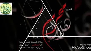 شربت الماي بس ريحة عطش بالماي _ الشيخ باقر الدراجي