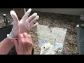 Put food prep gloves on hands