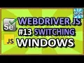 WebDriverJS Switching Windows Tutorial Part 13 QAShahin