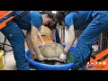 Thanking our Veterinary Technicians and Staff 2022