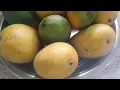 Download Lagu mango live