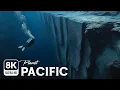Download Lagu Diving into the Mariana Trench Escarpment and Uncovering the Secrets of the Pacific