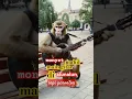 Download Lagu monyet viral mahil main gitar di alun alun,lagi sepl penonton #monkey #music #edit #guitar#ngamen