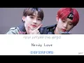 NEW , SUNWOO (THE BOYZ 더보이즈) NERDY LOVE COVER COLOR CODED LYRICS (original: ph-1 ft. baek yerin)