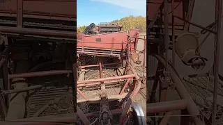 Антошка копает картошку 