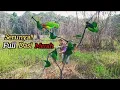 Download Lagu Serunya‼️ mikat burung serindit di spot baru full dasi merah