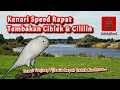 Download Lagu Kenari speed rapat tembakan ciblek dan cililin, durasi panjang dijamin ampuh untuk masteran