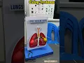 Lungs Working Model School Project Human Respiratory System Model Science Exhibition Project
