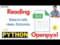 Read Excel Data Using Openpyxl in Python Colab Demo