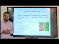 Spatial Interpolation