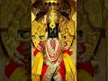 Download Lagu vithal rakumai status new song 🚩shree Hari vitthal pandurang pandurang status newsong 🙏god tujey rup