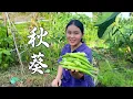 Download Lagu 秋葵还能这样做？秋葵三种吃法，3个孩子抢着吃