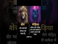 Download Lagu 🔥Sher vs Bhediya😎 #lion #attitude #king #forest #bhediya #wolf #wolfgang #mindset #focus #motivation