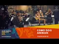 Download Lagu Alceu Valença e Orquestra Ouro Preto -   Como Dois Animais