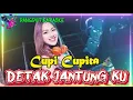 Download Lagu Cupi Cupita - Detak Jantung Ku - KARAOKE DANGDUT + LIRIK DANGDUT
