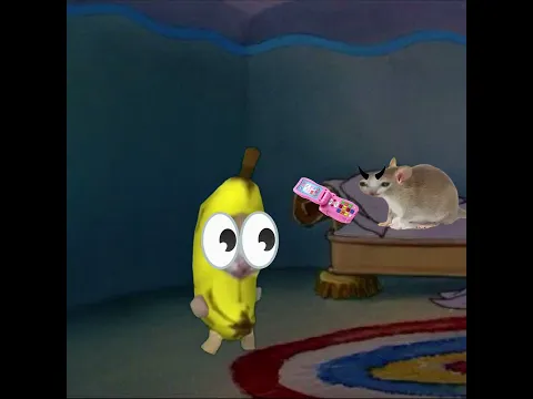 Ratcat Tantrum & Baby Banana Cat Plan 👿😾