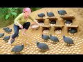 Download Lagu Harvesting chicken eggs, picking vegetables and wild fruits to make traditional cakes