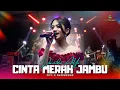 Download Lagu CINTA MERAH JAMBU - DIANDRA AYU | SAMUDRA MUSIC