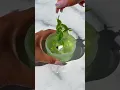 Name this slime without using the word pond