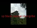 Download Lagu original sp black sedotan mahgribe.(editan terbaik)anti galo
