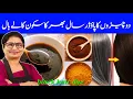 Dark brown hair dye How to dye your hair dark brown quickly at home tutorial grey coverage hair