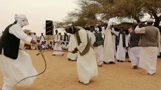 عبدالواحد مدينى حفلة الرقيشه 