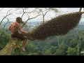 Lagu Extreme honingjacht – Klimmen in een gigantische boom omringd door miljoenen wilde reuzenbijen