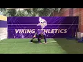 Lateral Monkey Crawls