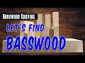 Let s find Basswood - Buying Basswood for projects