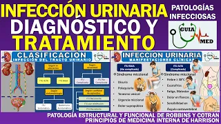 INFECCIÓN URINARIA EN LA MUJER SÍNTOMAS Y TRATAMIENTO | GuiaMed