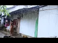 Download Lagu Heavy Rain in my village, the atmosphere is very happy | Rain Sounds For Stress relief