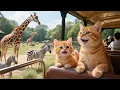 Download Lagu Mama Cat and Ginger Found a Wallet and Got Free Zoo Tickets! 🎟️🐱