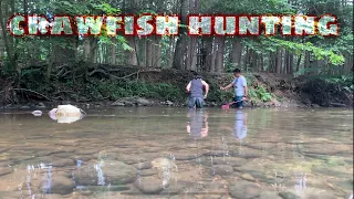 Edhu Ghee VLOG We found a Camping site in the middle of the FOREST Catch Cook Crawfish
