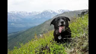 Hot Day in the Arctic – Pushing North 95