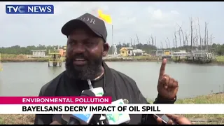 environmental pollution bayelsans decry impact of oil spill